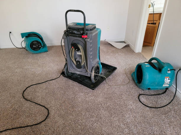 Best Water damage restoration insurance claims  in Manahawkin, NJ