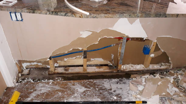 Best Flooded house restoration  in Manahawkin, NJ