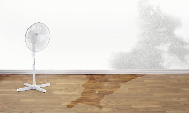 Best Ceiling water damage repair  in Manahawkin, NJ