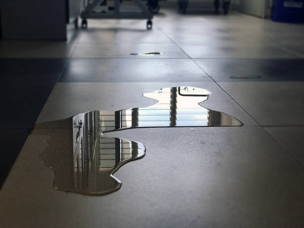 Best 24-hour water damage restoration  in Manahawkin, NJ
