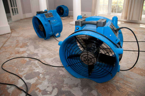 Best Flood restoration services  in Manahawkin, NJ