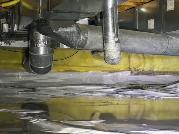 Best Sewage cleanup and water damage restoration  in Manahawkin, NJ