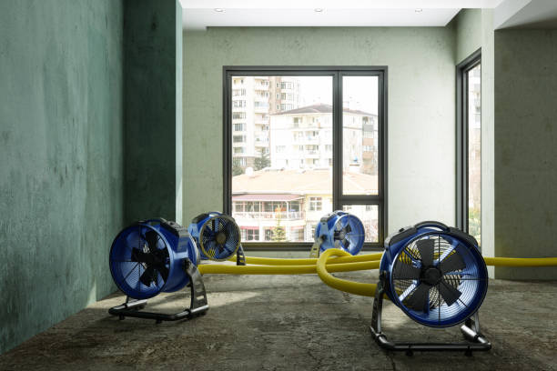 Reliable NJ Water damage restoration Solutions